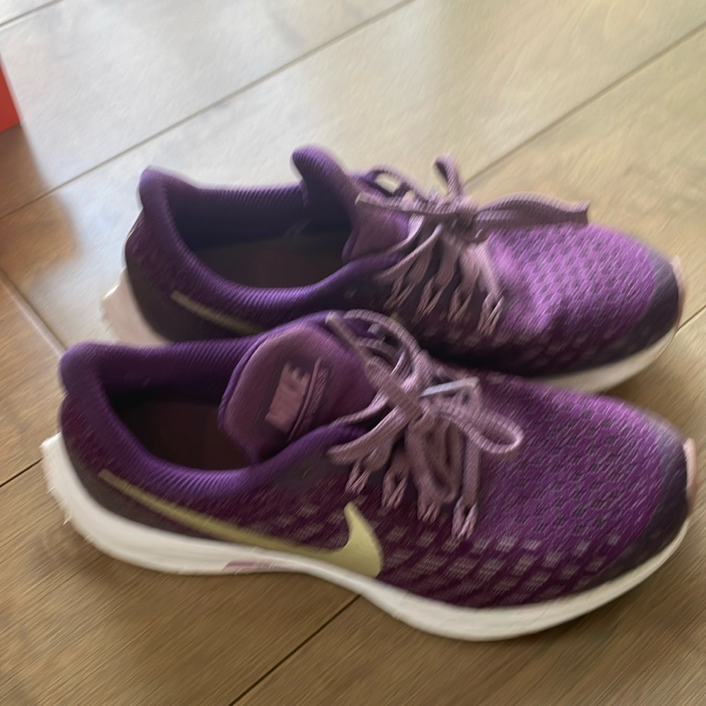 Nike Zoom Pegasus